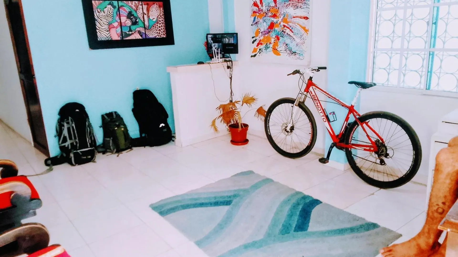 ゲストハウス Makako Chillout Hostel Cartagena